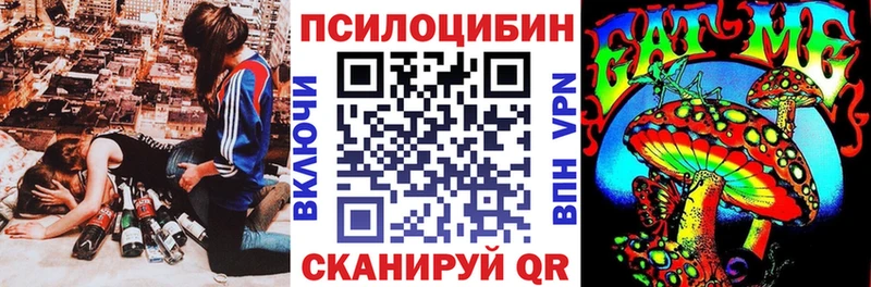 Псилоцибиновые грибы Psilocybe  хочу   OMG tor  Городище 